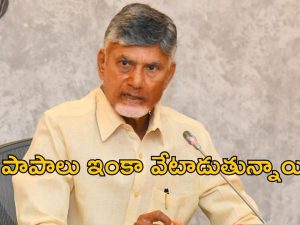 Chandrababu: చేయరాని నేరాలు చేశారు.. మిమ్మల్ని వదిలే ప్రసక్తే లేదు : చంద్రబాబు