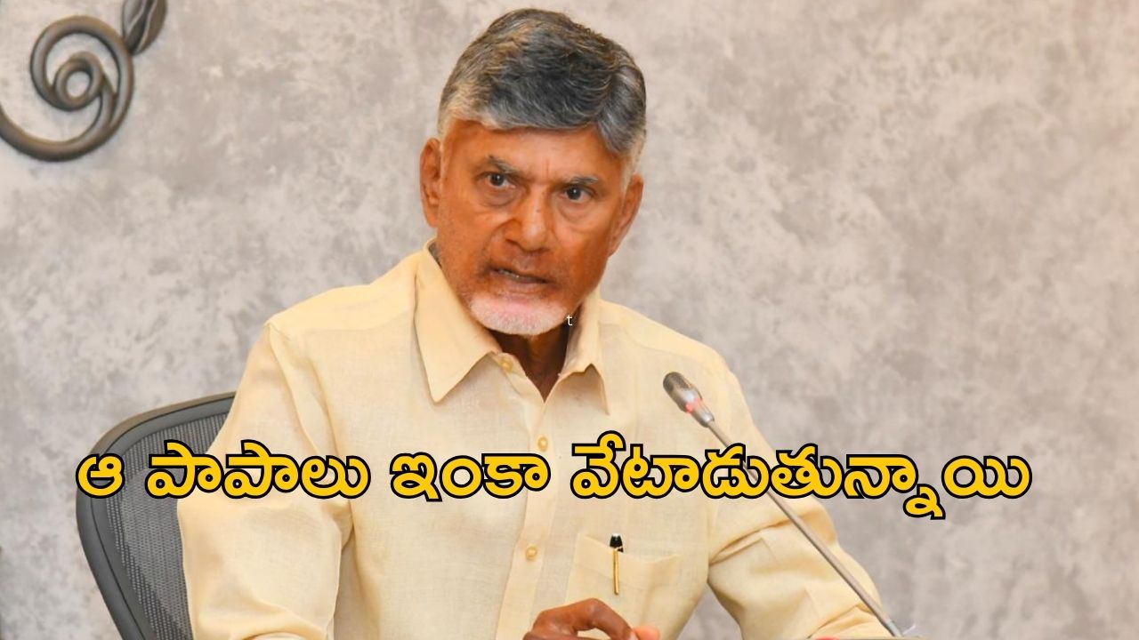 Chandrababu: చేయరాని నేరాలు చేశారు.. మిమ్మల్ని వదిలే ప్రసక్తే లేదు : చంద్రబాబు