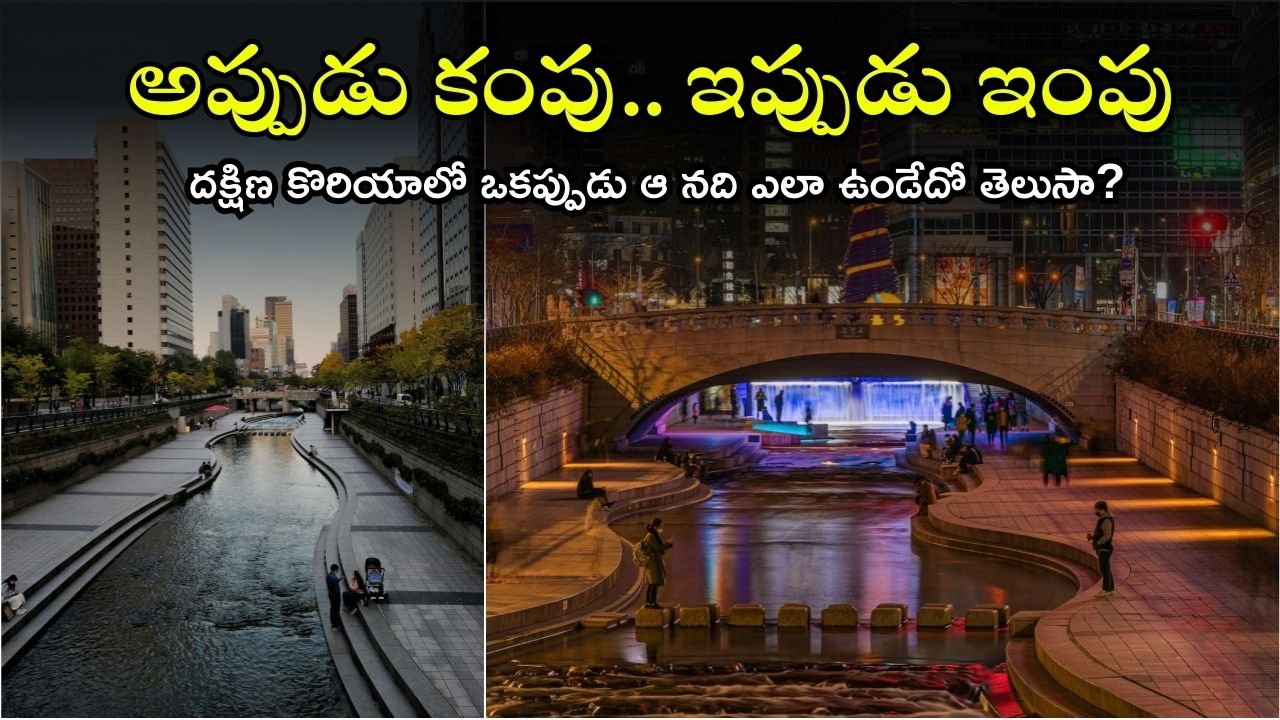 Cheonggyecheon South Korea: మురికి నది మురిసే.. ఇదీ చెంగిచియాన్ రివర్ హిస్టరీ, దక్షిణ కొరియాలా మనమూ చేయొచ్చా?