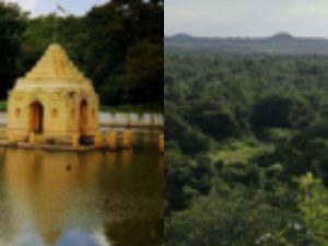 Damagundam Forest: అన్నింటికీ ఆలవాలమైన దామగుండాన్ని కాపాడుకుందాం