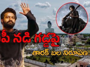 Devara : ఏపీలో తారక్ బలం చూపించబోతున్నారా.. సక్సెస్ మీట్‌ ఉద్దేశ్యం ఇదేనా..?