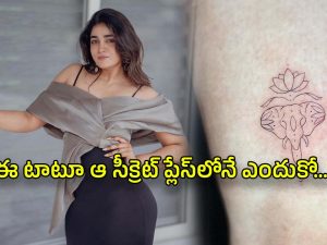 Dimple Hayathi : డింపుల్ పాప సీక్రెట్ టాటూ.. ఇంత మార్పు ఎందుకో..?