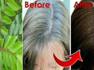 Curry Leaves Hair Oil: కరివేపాకుతో ఇలా చేస్తే.. తెల్లజుట్టు నల్లగా మారడం పక్కా