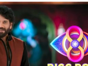 Bigg Boss 8 Telugu : ఏంటి నిజమా.. బిగ్ బాస్ కోసం అన్ని కోట్లు ఖర్చు పెట్టారా?