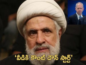 Naim Qassem Israel: ‘ఎక్కువ కాలం బతకడు.. త్వరలోనే లేపేస్తాం’.. హిజ్బుల్లా కొత్త నాయకుడిపై ఇజ్రాయెల్ వ్యాఖ్యలు