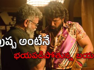 Pushpa 2 : థియేట్రికల్ రైట్స్ కు భారీ ధరలు కోట్ చేస్తున్న నిర్మాతలు… చేతులెత్తేస్తున్న బయ్యర్స్