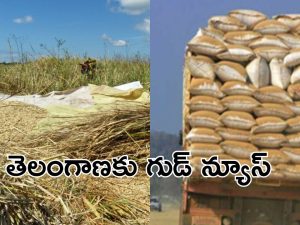 Telangana Rice: దసరా పండుగ వేళ తెలంగాణ ప్రజలకు భారీ శుభవార్త… త్వరలోనే..