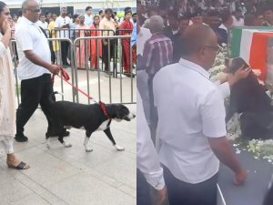 Ratan Tata Dog: నీ వెంటే నేనుంటా.. టాటా అంత్యక్రియల్లో పాల్గొన్న పెంపుడు కుక్క గోవా.. కన్నీళ్లు ఆగవు