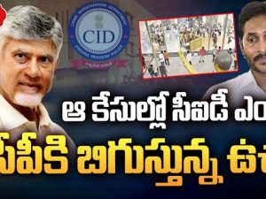 CID Takes TDP Attack Case: సిఐడీ చేతికి టీడీపీ ఆఫీసుపై దాడుల కేసులు.. విచారణ వేగవంతం