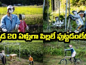 Ichinono: ఆ జపాన్ విలేజ్‌లో మనుషుల కంటే బొమ్మలే ఎక్కువ.. ఏ వీధిలో చూసినా అవే కనిపిస్తాయ్, ఎందుకంటే?