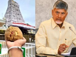 SIT probe temporarily stopped: తిరుమల లడ్డూ వివాదం, సిట్ దర్యాప్తు బ్రేక్ వెనుక.. అసలేం జరిగింది?