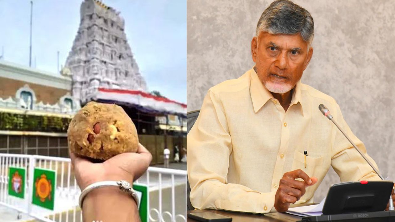 SIT probe temporarily stopped: తిరుమల లడ్డూ వివాదం, సిట్ దర్యాప్తు బ్రేక్ వెనుక.. అసలేం జరిగింది?