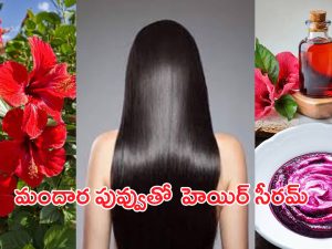 Hibiscus Hair Mask: మందార పువ్వుతో ఈ హెయిర్ సీరమ్ ట్రై చేసారంటే.. ఊడిన జుట్టు మళ్లీ వస్తుంది..