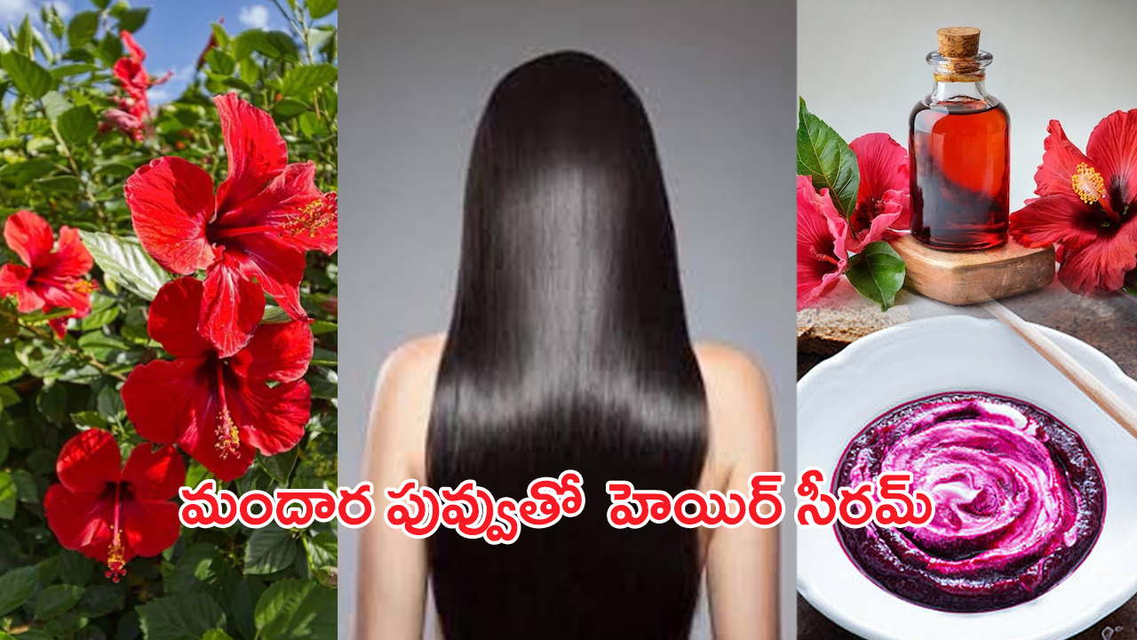 Hibiscus Hair Mask: మందార పువ్వుతో ఈ హెయిర్ సీరమ్ ట్రై చేసారంటే.. ఊడిన జుట్టు మళ్లీ వస్తుంది..