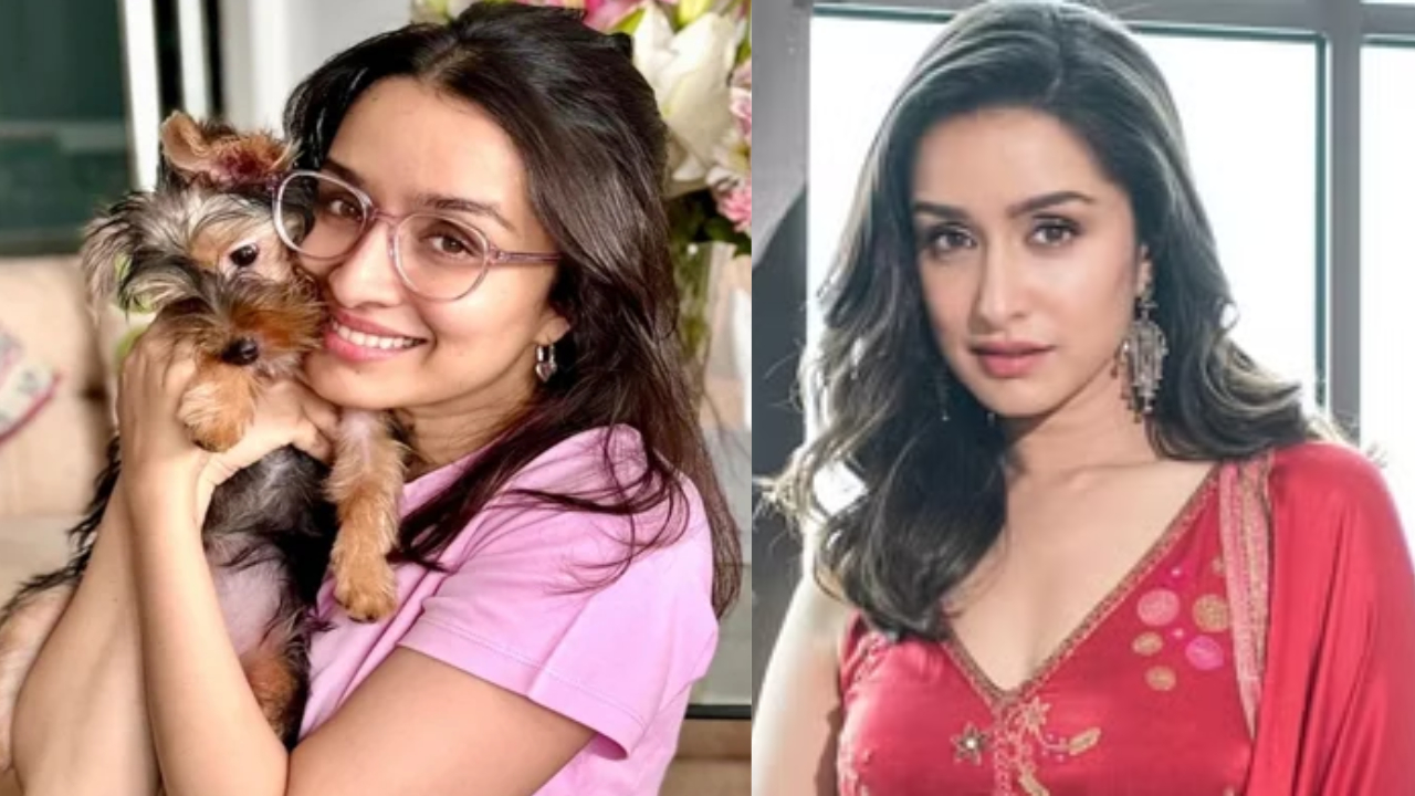 Shraddha Kapoor: పెళ్లిపై ఊహించని కామెంట్స్ చేసిన ప్రభాస్ బ్యూటీ.. గంతకు తగ్గ బొంతే..!