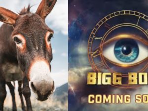 Bigg Boss: హౌస్ లోకి ముఖ్యఅతిథిగా గాడిద.. షాక్ లో ఆడియన్స్..!