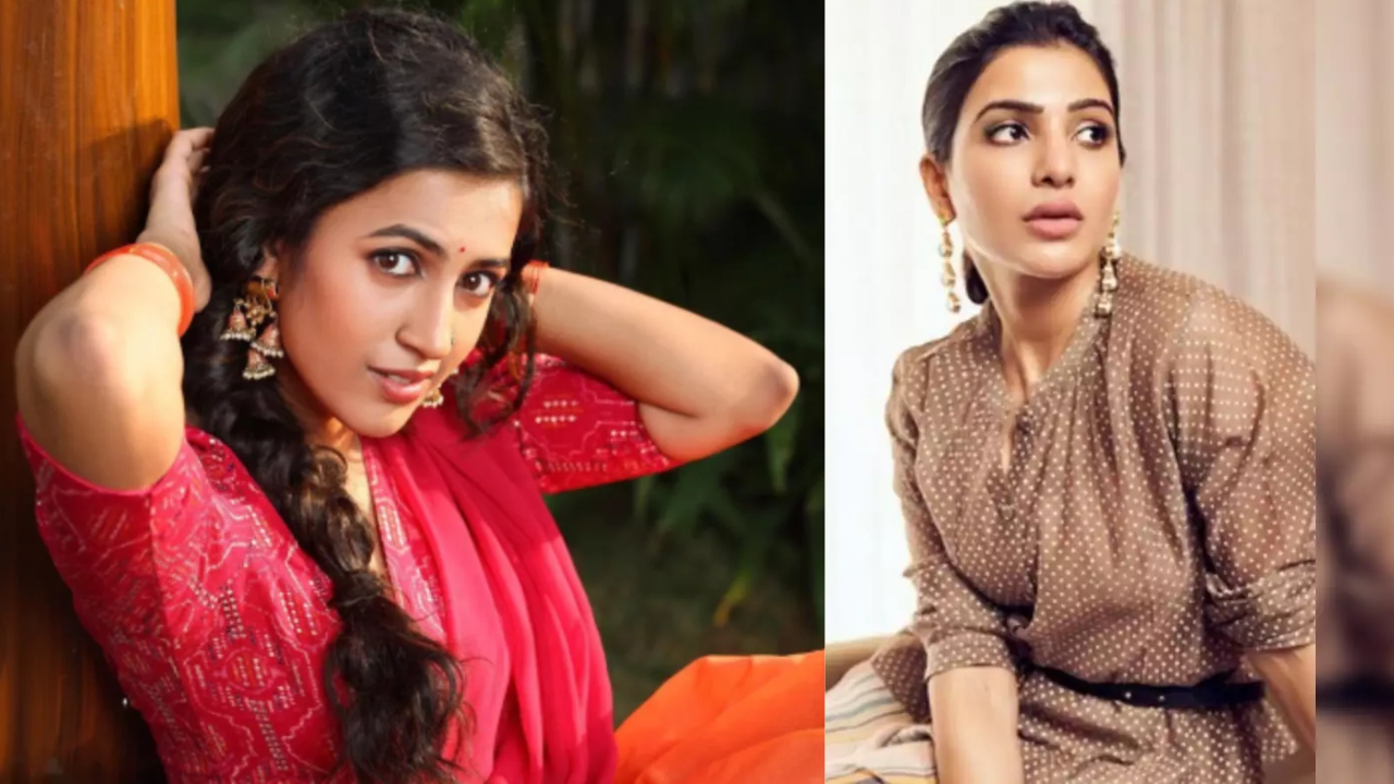 Niharika: విడాకుల వెనుక ఆ హీరోయిన్ హస్తం ఉందా..వెలుగులోకి సంచలన నిజం..!