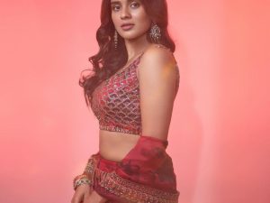 Hebah Patel: ట్రెడీషినల్ డ్రెస్‌లో మెరిసిపోతున్న హెబ్బా.. ఈ బోల్డ్ బ్యూటీ అందం వర్ణించతరమా!