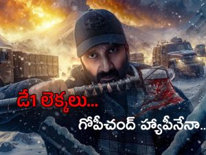 Viswam Collections : ‘విశ్వం’ ఫస్ట్ డే ఓపెనింగ్స్ అదిరిపోయాయి.. ఎన్ని కోట్లు కలెక్ట్ చేసిందంటే?