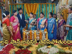 Intinti Ramayanam Today Episode: ఫ్రెండ్ తో అవనిని ఘోరంగా అవమానించిన పల్లవి.. అవని తల్లి ఎవరో నిజం తెలిసిపోతుందా?