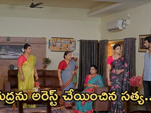 Satyabhama Today Episode: రుద్ర గురించి నిజం తెలుసుకున్న రేణుక.. రుద్రను పోలీసులకు పట్టించిన సత్య..