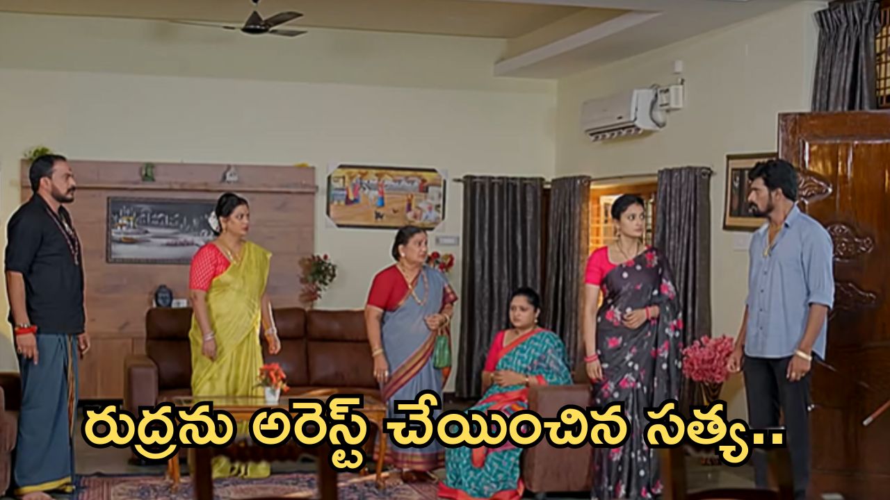 Satyabhama Today Episode: రుద్ర గురించి నిజం తెలుసుకున్న రేణుక.. రుద్రను పోలీసులకు పట్టించిన సత్య..