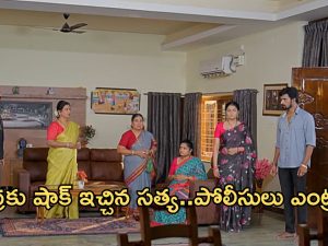 Satyabhama Today Episode: మహదేవయ్యకు నిజం చెప్పిన సత్య.. రేణుక చెప్పిన అబద్దంతో షాకైన సత్య..