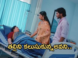 Intinti Ramayanam Today Episode: అవని తల్లి ఎవరో తెలిసిపోయిందా? అవని ఎక్కడికి వెళ్లిందో తెలుసుకోవడానికి పల్లవి ప్లాన్..