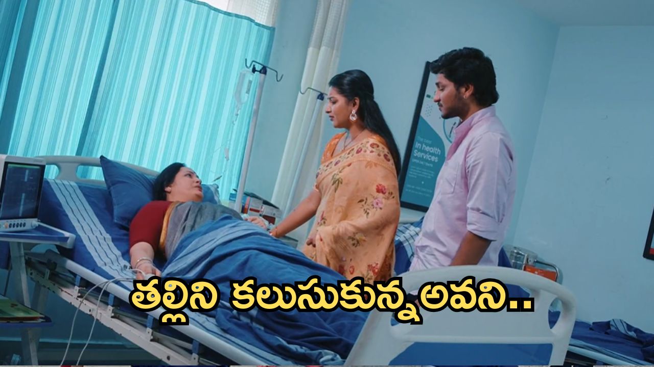 Intinti Ramayanam Today Episode: అవని తల్లి ఎవరో తెలిసిపోయిందా? అవని ఎక్కడికి వెళ్లిందో తెలుసుకోవడానికి పల్లవి ప్లాన్..