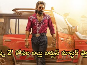 Allu Arjun : మెగా ఫ్యామిలీకి చెక్ పెట్టడానికి బన్నీ మాస్ ప్లాన్…? పుష్ప 2ను ఇలా వాడేస్తున్నాడా..?