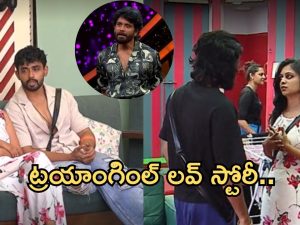 Bigg Boss 8 Telugu: బిగ్ బాస్ లో మరో లవ్ స్టోరీ.. నాగార్జున రియాక్షన్ ఏంటంటే?