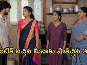 GundeNinda GudiGantalu Today Episode : మీనాను గెంటేయమని చెప్పిన బాలు .. రవికోసం వెతుకుతున్న బాలు.. పుట్టింటికి చేరిన మీనా ..