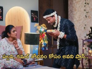 Intinti Ramayanam Today Episode : పల్లవి, కమల్ శోభనం కోసం అవని ప్లాన్.. జరిగింది తెలుసుకొని షాక్ అయిన పల్లవి…