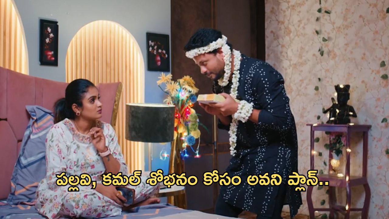 Intinti Ramayanam Today Episode : పల్లవి, కమల్ శోభనం కోసం అవని ప్లాన్.. జరిగింది తెలుసుకొని షాక్ అయిన పల్లవి…