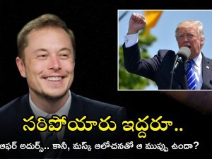 Elon Musk: మస్క్ మామ బంపర్ ఆఫర్.. అలా చేస్తే రూ.4 వేలు ఇస్తాడట, చంపేద్దాం అనుకుంటున్నాడా?