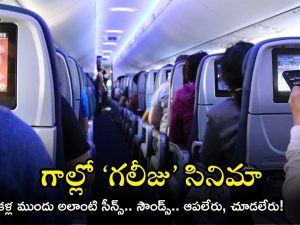 Qantas flight: విమానం స్క్రీన్లలో ‘అలాంటి’ మూవీ, ప్రయాణీకులు షాక్.. ఇంతకీ ఏం జరిగిందంటే?