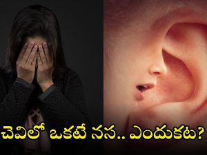 Mental Health: ఆ వ్యాధి ఉన్న వారిలో చెవిలో రకరకాల గుసగుసలు ఎందుకు వినిపిస్తాయి?