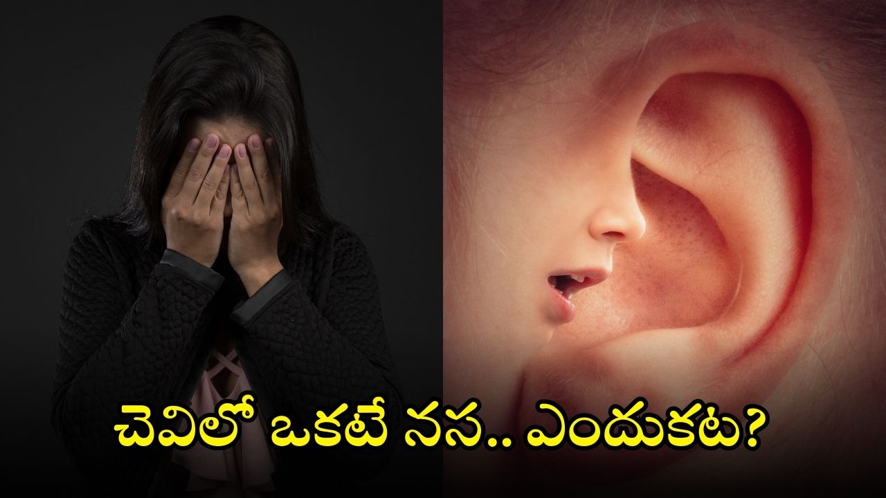 Mental Health: ఆ వ్యాధి ఉన్న వారిలో చెవిలో రకరకాల గుసగుసలు ఎందుకు వినిపిస్తాయి?