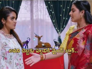 Intinti Ramayanam Today Episode : పల్లవి, కమల్ మధ్య జరిగిన శోభనం.. చక్రధర్ కు నిజం చెప్పిన పల్లవి..