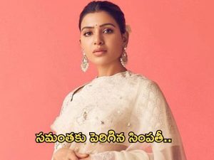 Samantha : ఆ వ్యాఖ్యలు బాధకరమే… కానీ, సామ్‌కి ప్లస్ అయ్యాయా…?