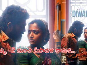 Pushpa 2: దీపావళికి బ్లాస్ట్ అయ్యేలా.. పుష్ప 2 అప్డేట్..!