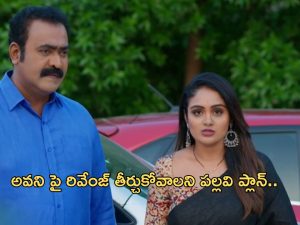 Intinti Ramayanam Today Episode : అవనిపై పగతో రగిలిపోతున్న పల్లవి.. అవని స్టోరీలో మరో ట్విస్ట్..