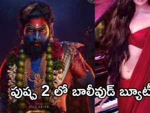 Pushpa2 : పుష్ప 2 లో బాలీవుడ్ బ్యూటీ.. నీ అవ్వ అస్సలు తగ్గేదేలే..