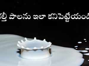 Milk adulteration: కల్తీ పాలను గుర్తించడం ఎలా? ఈ సింపుల్ టిప్స్‌తో ఈజీగా కనిపెట్టేయొచ్చు