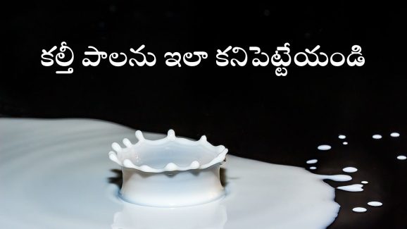 Milk adulteration: కల్తీ పాలను గుర్తించడం ఎలా? ఈ సింపుల్ టిప్స్‌తో ఈజీగా కనిపెట్టేయొచ్చు