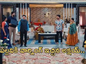 Intinti Ramayanam Today Episode: పల్లవికి అక్షయ్ వార్నింగ్.. అవని కోరికను తీర్చిన అక్షయ్ కుటుంబం..