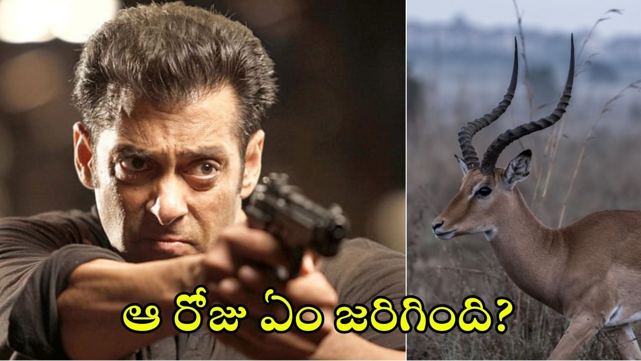 Salman Khan: సల్మాన్ నిజంగానే ఆ జింకను కాల్చాడా? ఆ రోజు అతనితో ఉన్న హీరోయిన్స్ ఎవరు? వారికీ ముప్పుందా?