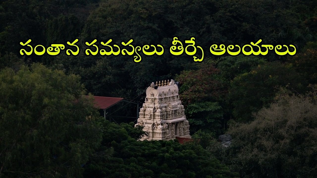 Temples: ఆ ఆలయంలో కొబ్బరి మొక్క నాటితే మగ పిల్లాడు పుడతాడట, గులాబీ మొక్క నాటితే ఆడపిల్ల పుడుతుందట