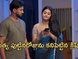 Satyabhama Serial Today Episode : ఇంట్లో రచ్చ చేసిన నందిని.. సత్య పుట్టినరోజు కనుక్కున్న క్రిష్.. శోభనంకు రెడీ..