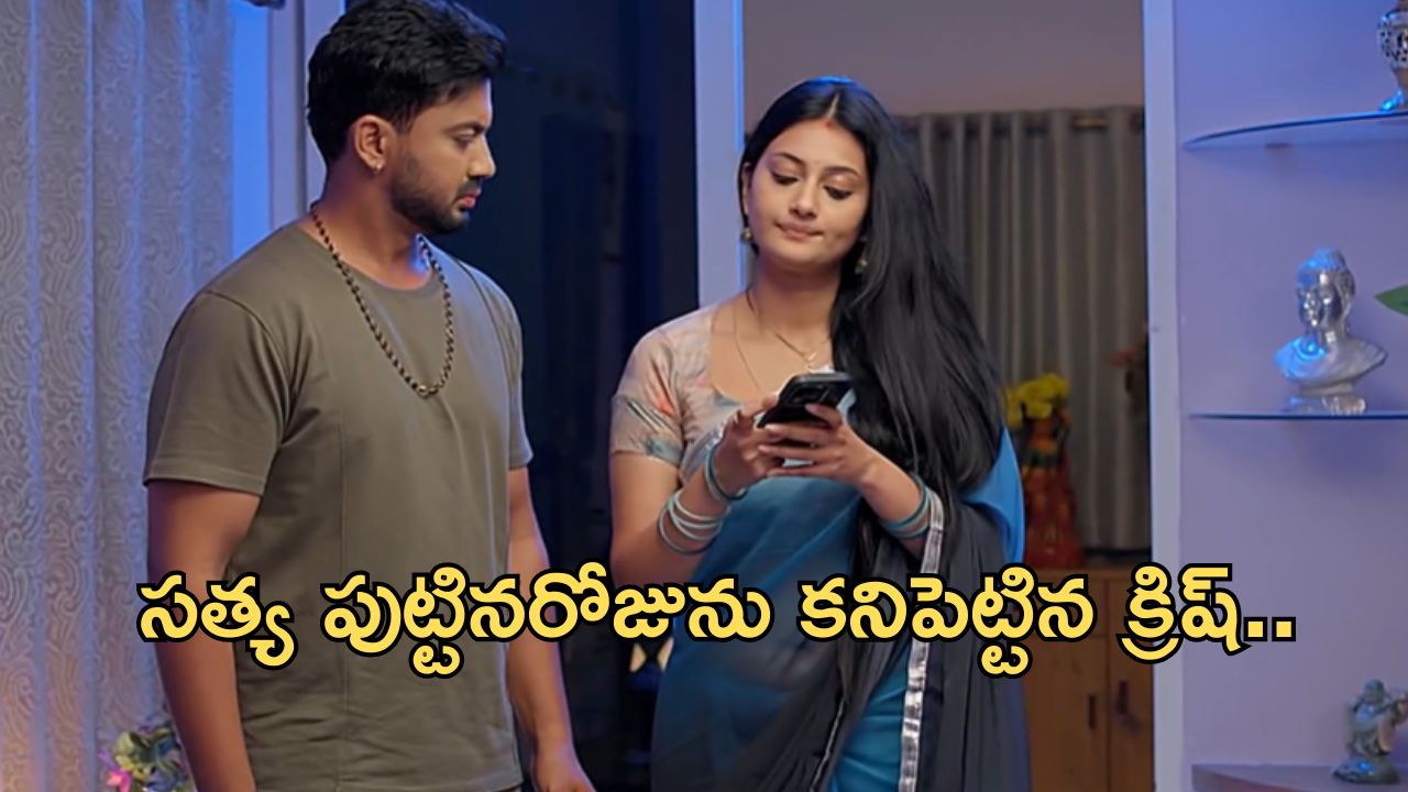 Satyabhama Serial Today Episode : ఇంట్లో రచ్చ చేసిన నందిని.. సత్య పుట్టినరోజు కనుక్కున్న క్రిష్.. శోభనంకు రెడీ..